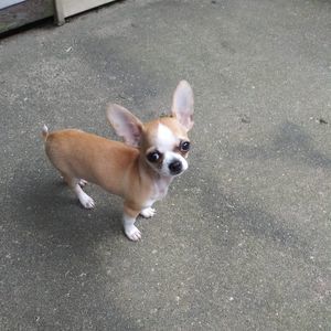 Meet your Posher, Kimberly